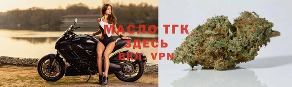 стаф Богородицк