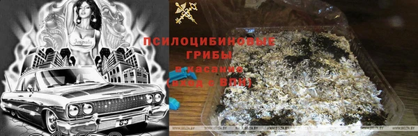 COCAINE Богданович