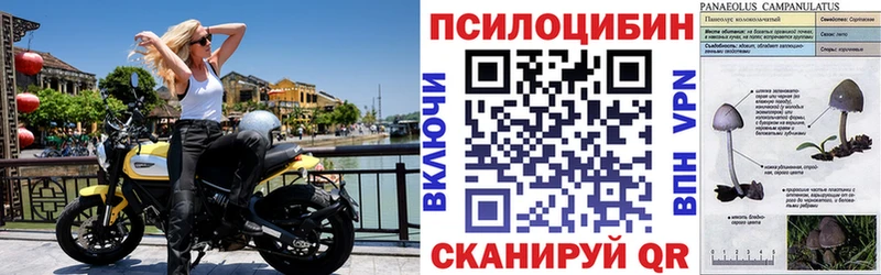 Галлюциногенные грибы прущие грибы  Котельники 
